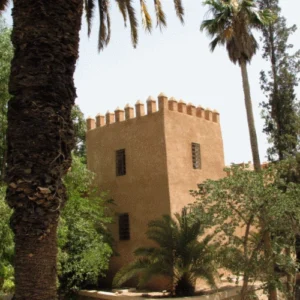 OUJDA GALERIE