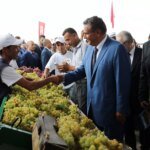 evaluation-du-plan-maroc-vert-:-le-groupe-de-travail-thematique-n’arrivera-pas-au-bout-de-son-enquete