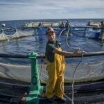 aquaculture-:-le-maroc-compte-244-projets-actifs-(secretariat-d’etat)