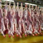 les-prix-des-viandes-rouges-restent-a-des-niveaux-eleves-a-casablanca,-les-tomates-en-baisse