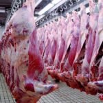 viandes-rouges-importees-:-el-bouari-detaille-un-dispositif-de-controle-sanitaire-a-plusieurs-niveaux