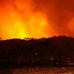 incendies-en-algerie-:-dix-huit-morts-depuis-juillet,-tebboune-met-en-cause-un-acte-criminel